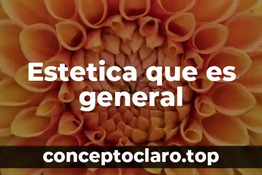Que es el examen coprologico general 5 Estetica que es general