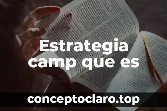 Que es la estrategia del oceano azul resumen 7 Estrategia camp que es