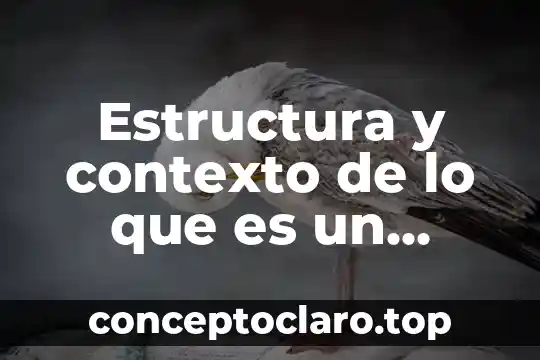 Qué es el nivel económico del contexto social 3 Estructura y contexto de lo que es un proyecto