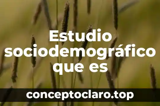 Define que es un estudio de mercado 7 Estudio sociodemográfico que es
