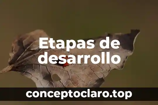 Que es la ilustracion y como se desarrollo 8 Etapas de desarrollo