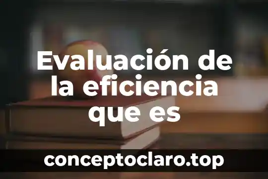Evaluación de la eficiencia que es