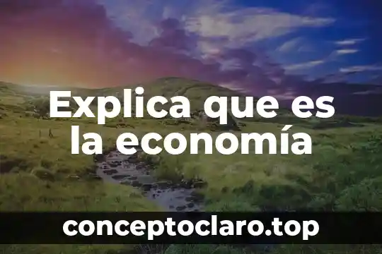 Explica con tus propias palabras que es erosion de viento 4 Explica que es la economía