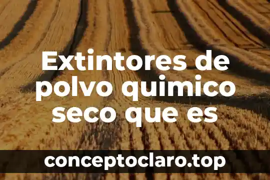 Extintores de polvo quimico seco que es