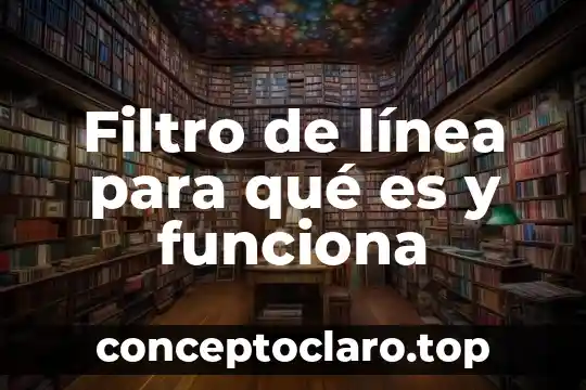 Que es filtro de salida 6 Filtro de línea para qué es y funciona
