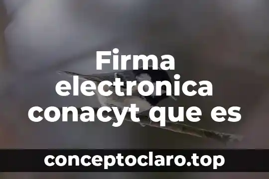 Qué es la firma de documentos 8 Firma electronica conacyt que es