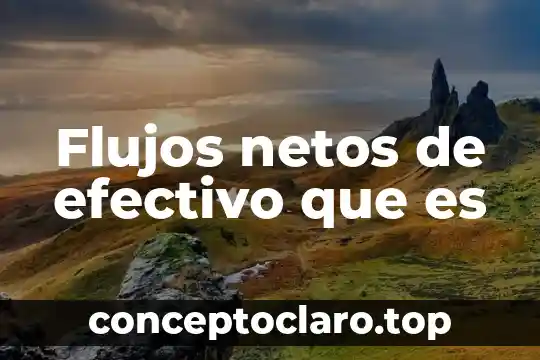 Flujos netos de efectivo que es