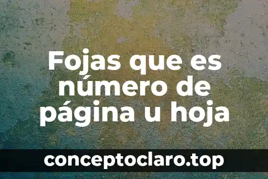 Que es programacion para pagina web 3 Fojas que es número de página u hoja