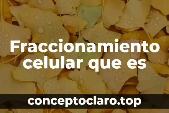 Fraccionamiento celular que es