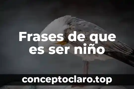 Que es ser un chico suicida 7 Frases de que es ser niño