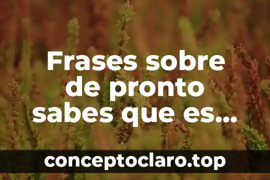 Frases sobre de pronto sabes que es amor