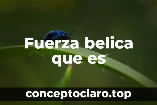 Que es la fuerza de empuje o flotacion 3 Fuerza belica que es