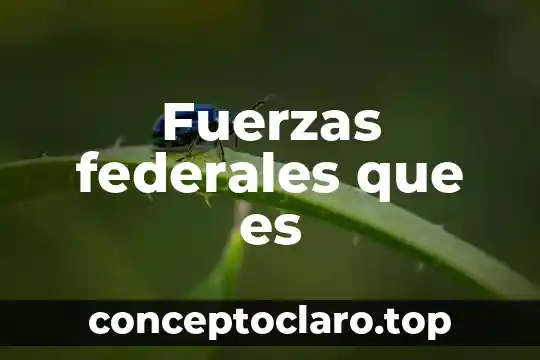 Fuerzas federales que es