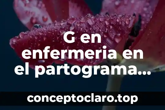 Que es maltrato animal introduccion 3 G en enfermeria en el partograma que es