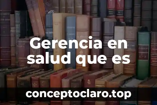 Gerencia en salud que es