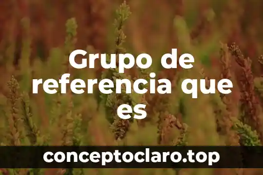Grupo de referencia que es