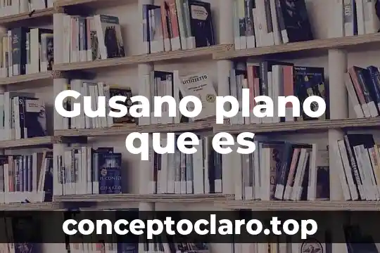 Gusano plano que es