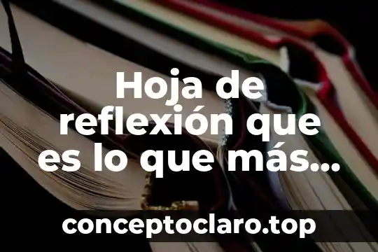 Hoja de reflexión que es lo que más te gusto