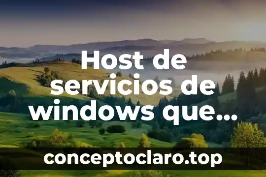 Host de servicios de windows que es