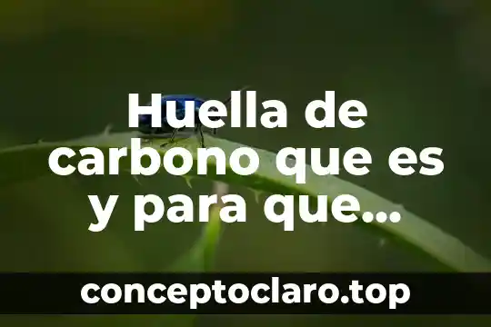 Huella de carbono que es y para que sirve