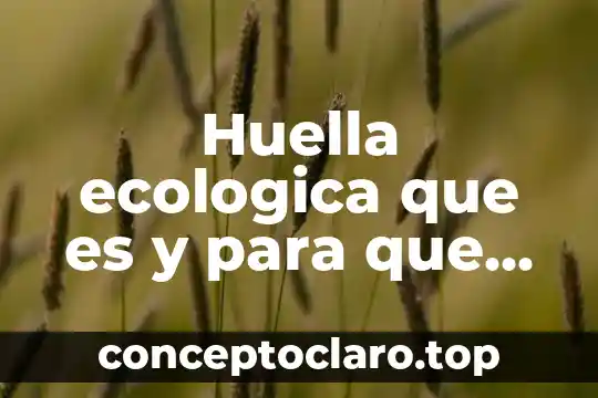 Huella ecologica que es y para que sirve