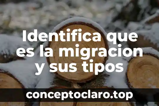 Qué es la prensión tipos 7 Identifica que es la migracion y sus tipos