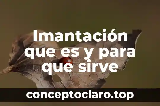 Que es la sangre de drago para que sirve 3 Imantación que es y para que sirve