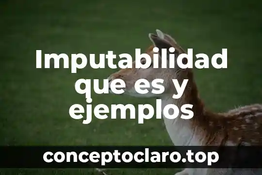 Ejemplos de que es informar 3 Imputabilidad que es y ejemplos