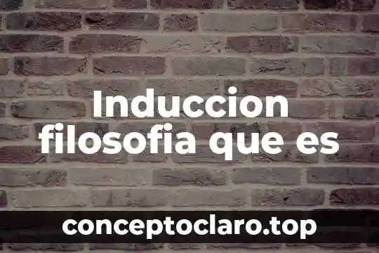 Induccion filosofia que es