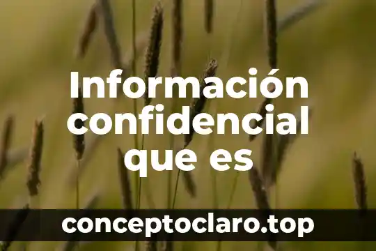 Información confidencial que es