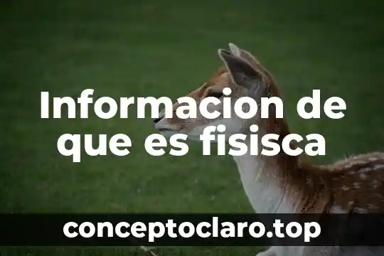 Que es una leyenda informacion 6 Informacion de que es fisisca