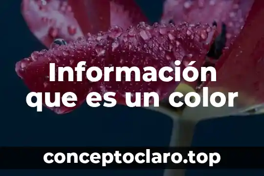 Información que es un color