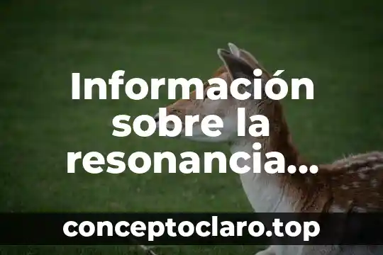 Qué es la información pública y 7 Información sobre la resonancia magnética que es