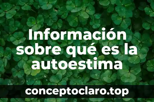 Información sobre qué es la autoestima