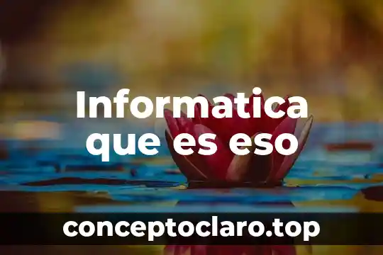 Grupo 43 eso si que es volar 3 Informatica que es eso