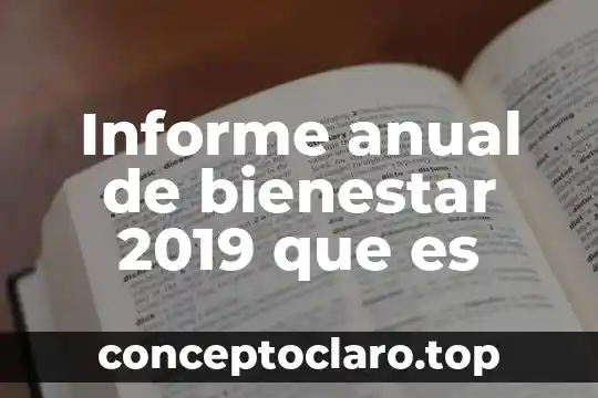 Que es el periodo inter anual 3 Informe anual de bienestar 2019 que es