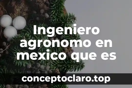 Que es un ingeniero en industrias alimentarias 7 Ingeniero agronomo en mexico que es