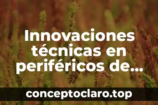 Que es puerta de salida del reservorio 3 Innovaciones técnicas en periféricos de entrada y salida que es