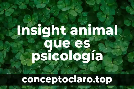Que es axil anatomia animal 3 Insight animal que es psicología