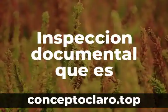 Qué es un guion de revisión documental 4 Inspeccion documental que es
