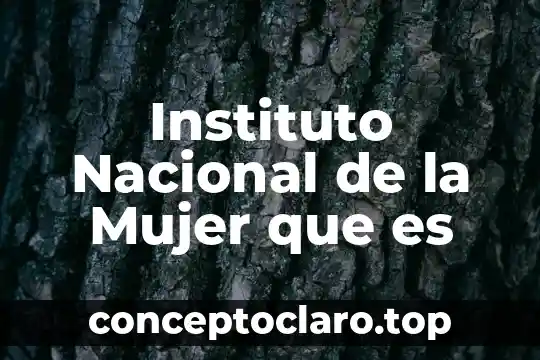 Instituto Nacional de la Mujer que es