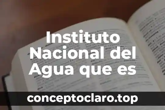 Instituto Nacional del Agua que es