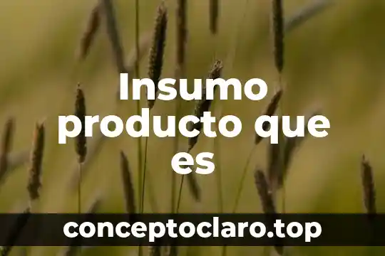 Insumo producto que es