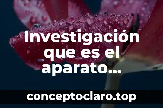 Investigación que es el aparato digestivo