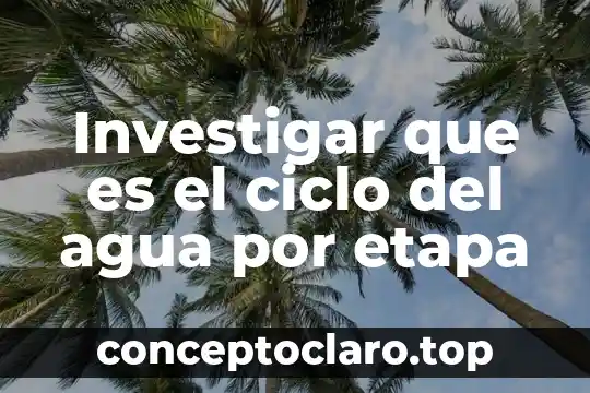 Investigar que es un ecosistema y sus características 5 Investigar que es el ciclo del agua por etapa