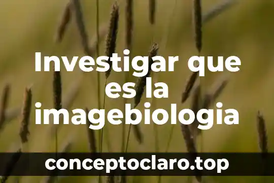 Investigar que es una sucesion 3 Investigar que es la imagebiologia