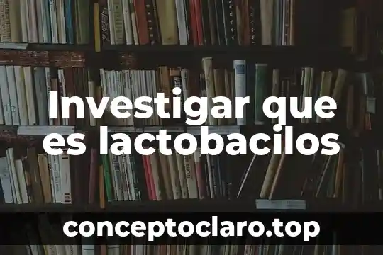Investigar que es una sucesion 8 Investigar que es lactobacilos