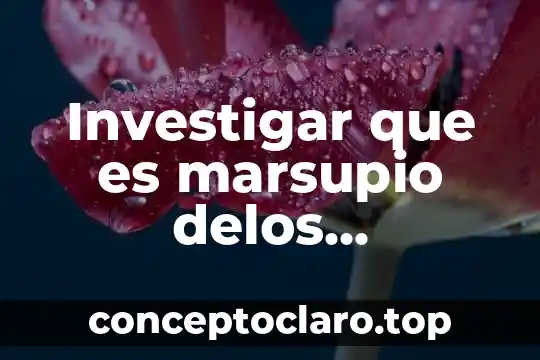 Investigar que es un ecosistema y sus características 6 Investigar que es marsupio delos tlacuaches