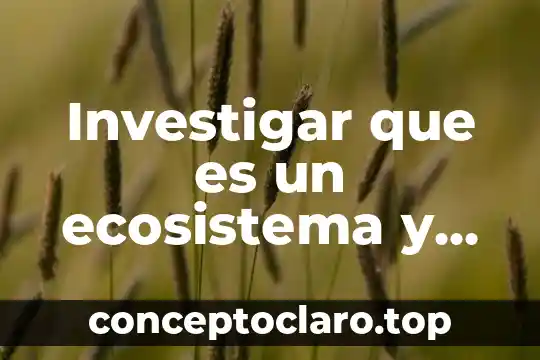 Investigar que es estrategias 3 Investigar que es un ecosistema y sus características
