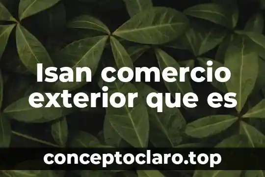 Isan comercio exterior que es